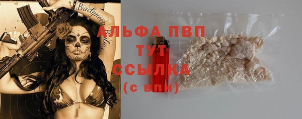 spice Арсеньев