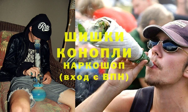 spice Арсеньев