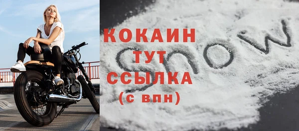 бошки Горняк