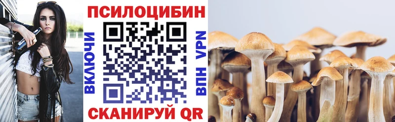 купить  сайты  Кемь  Галлюциногенные грибы Cubensis 