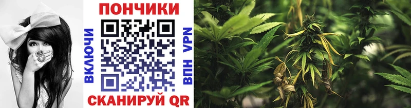Марихуана Amnesia где купить наркоту Кемь